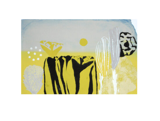 sérigraphie, pochoir, xylographie et collage sur papier, pièce unique, 24x38 cm, 2021