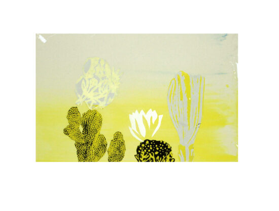 sérigraphie, pochoir, xylographie et collage sur papier, pièce unique, 24x38 cm, 2021