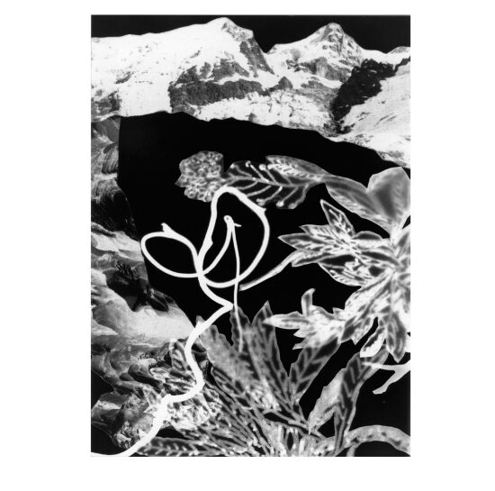 Vue du massif des causes perdues 18x13 cm