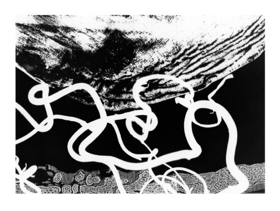 Relevé N°2 du parcours d'un moustique tigre à Saint Étienne 13x18 cm