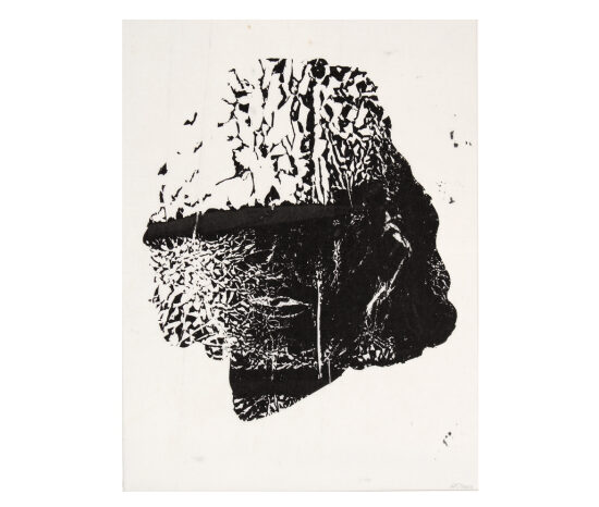 Sérigraphie, monotype  Sur papier chinois, 35x24 cm
